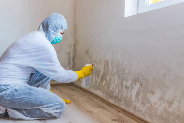Hvac And Air Duct Mold Remediation inspection of HVAC system in Glendale Heights