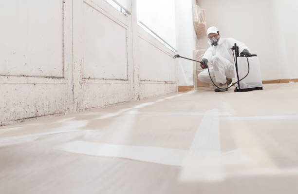 Post-remediation clearance in Glendale Heights